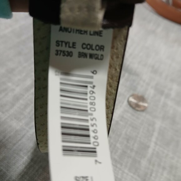 Another Line Dark Brown Leather Belt with Gold Frog Buckle with Rhinestone Eyes. - Picture 8 of 9